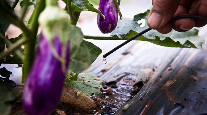 CSV - Linkbox - Engaging with our suppliers