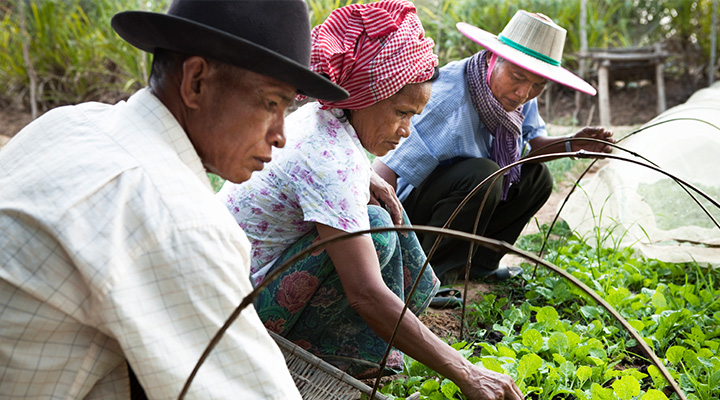 CSV - Linkbox - Our model for impact