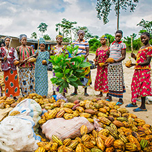 Nestlé Cocoa Plan Nestlé Cocoa Plan