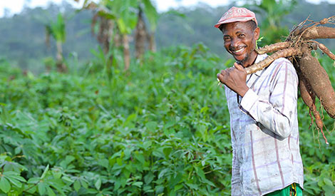 CSV - Our impact - Related - Raw materials
