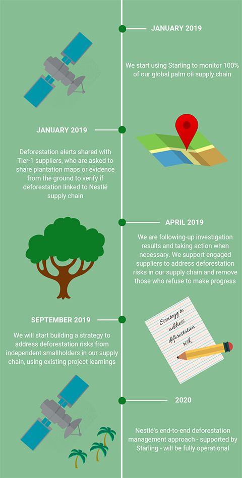 Our palm oil supplier engagement process