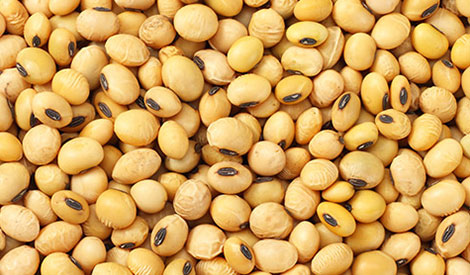 Raw materials - soya