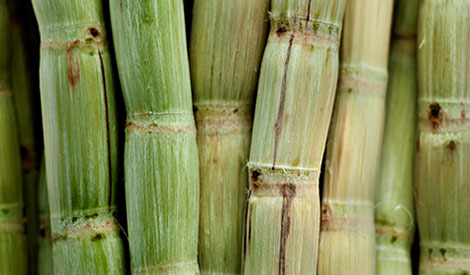 Raw materials - sugar