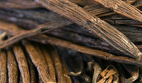 Raw materials - vanilla