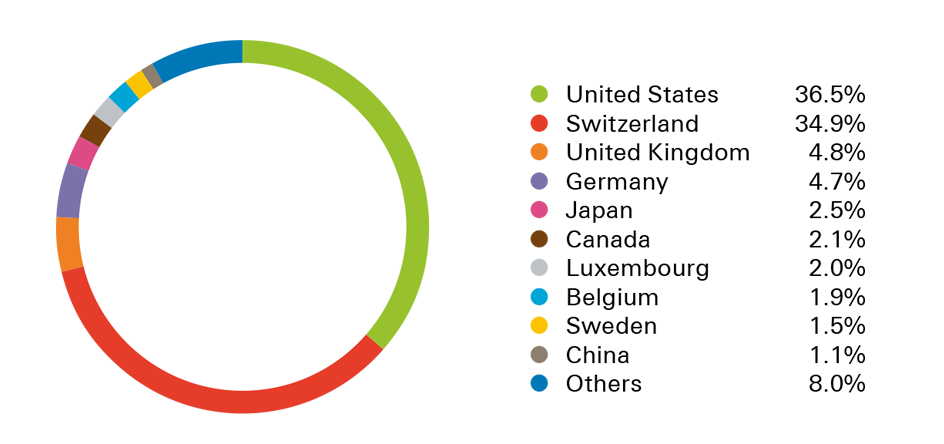 Share capital distribution by geography