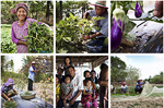 Flickr CSV Prize Winner 2010
