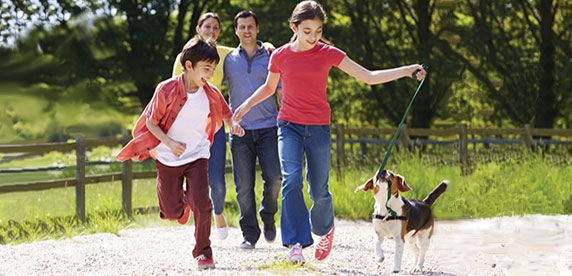 family walking the dog< family walking the dog