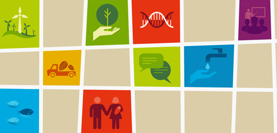 interactive graphic interactive graphic