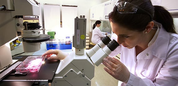 scientist at work