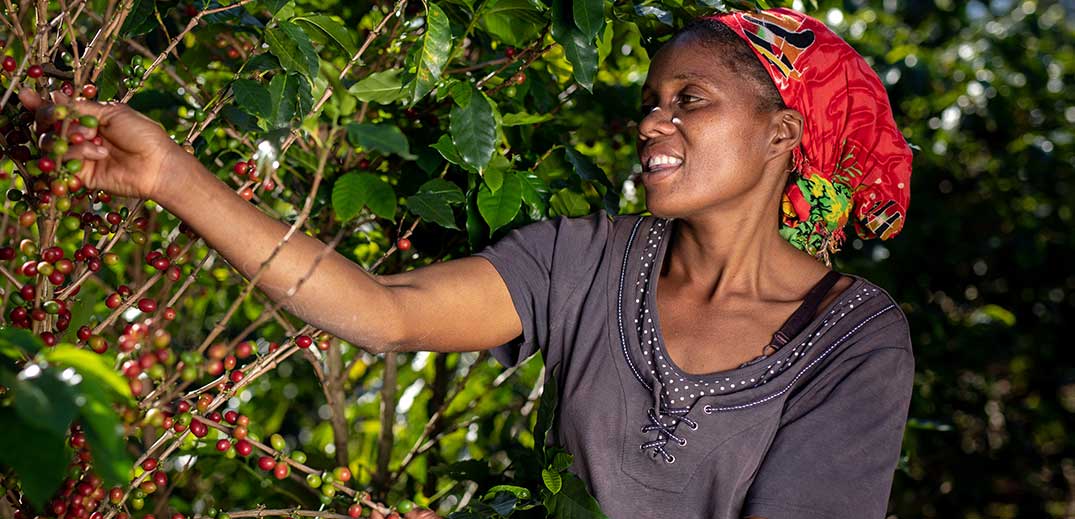 Nespresso launches Reviving Origins