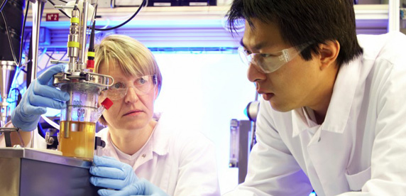 Scientists at work