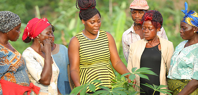 CSV Prize winner agro-hub.jpg