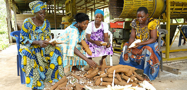 CSV Prize winner agro-hub3.jpg