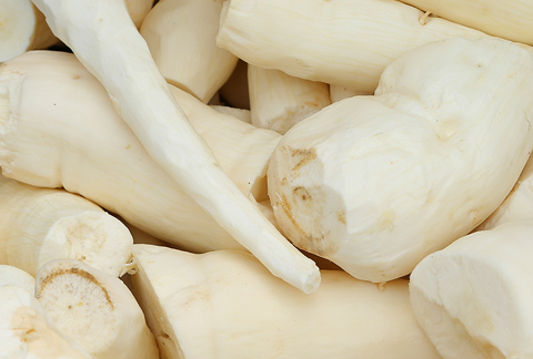 story-teaser-The roots of change-card-Standard Box Html