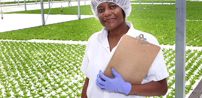 Green City Growers employee green-city-growers-employee.jpg