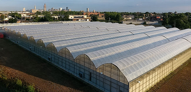 Green City Growers farm green-city-growers-farm.jpg
