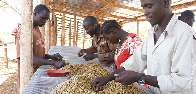 south-sudan-coffee-farmers.jpg south-sudan-coffee-farmers.jpg