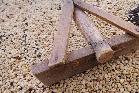 Coffee amidst the conflict