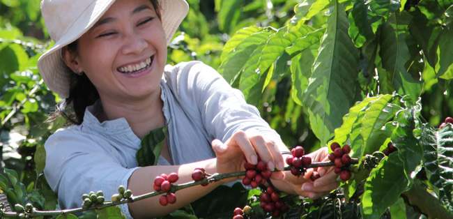 Female coffee farmer sustainable-coffee-equal-rights.jpg