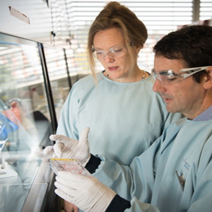 Scientists Scientists