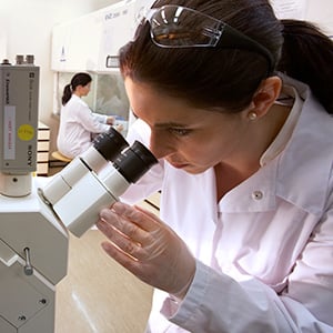 Scientist Scientist