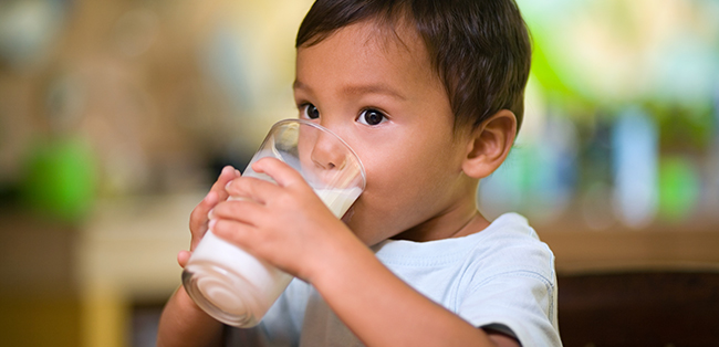 Toddler boy drinking milk toddler-boy-drinking-milk.jpg