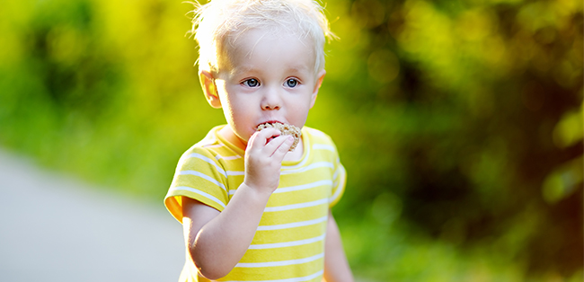 Toddler boy eating bread toddler-boy-eating-bread.jpg