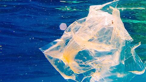 story teaser-Beating plastic pollution-card-Standard Box Html