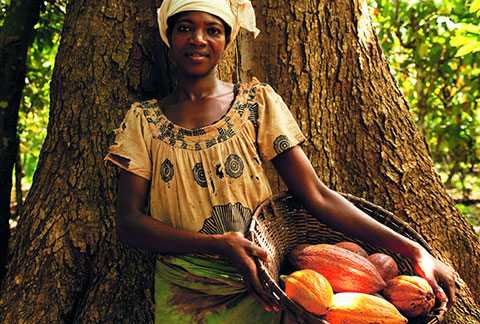 cocoa farmer