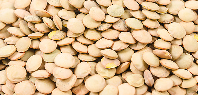 lentils