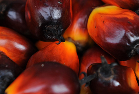 Tackling labor rights issues