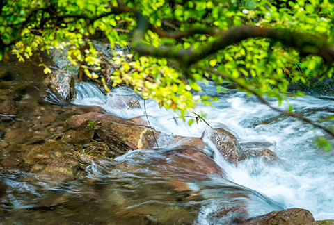 water in river