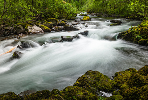 story teaser-Water stewardship-card-Standard Box Html