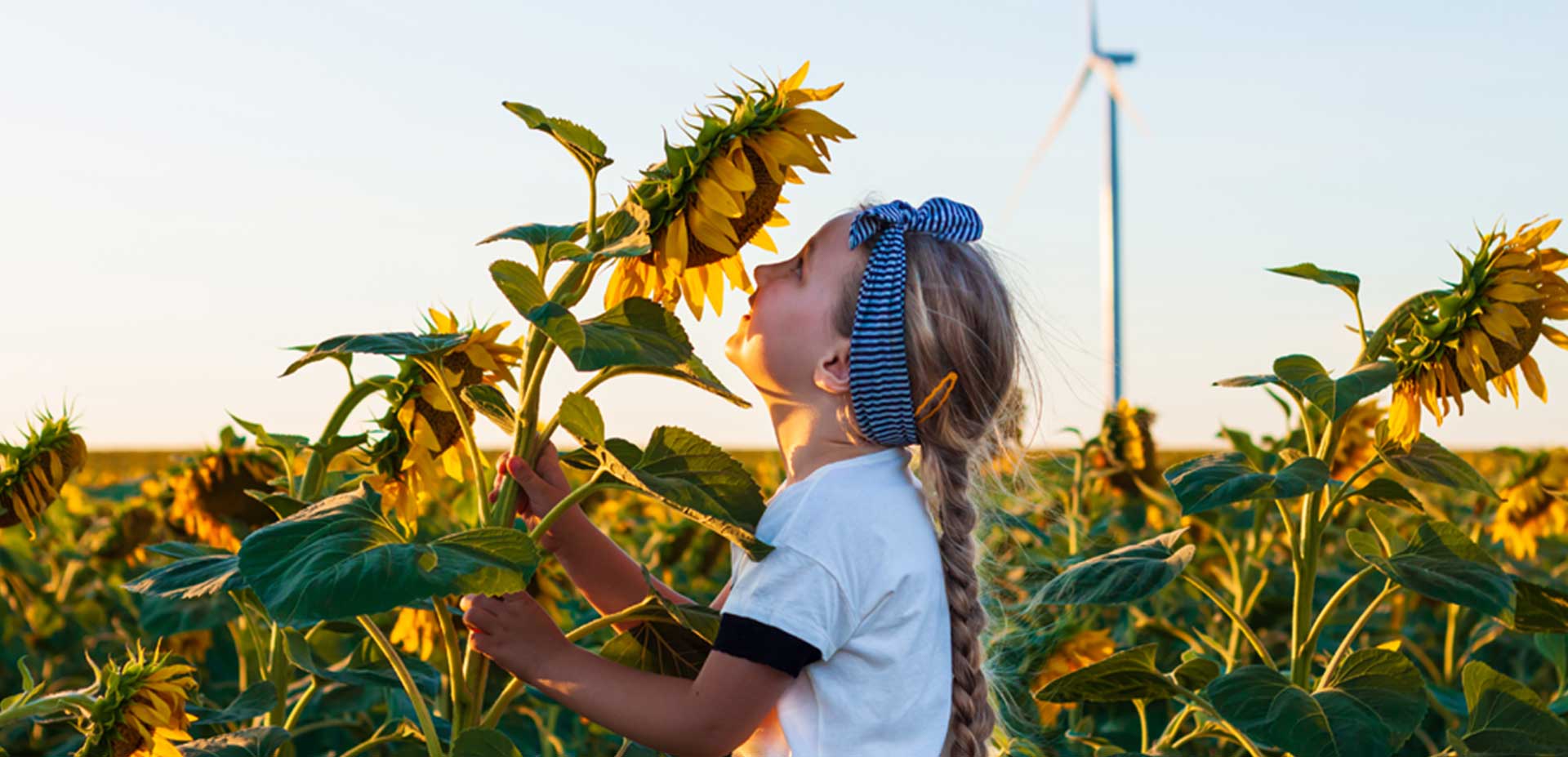 Girl smelling sunflower on the field
