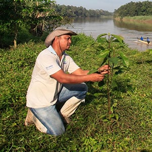 man planting a tree man planting a tree