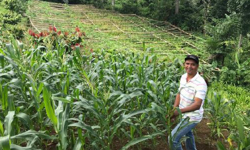 csv-19-2-4-3-farmers-phillipines farmer