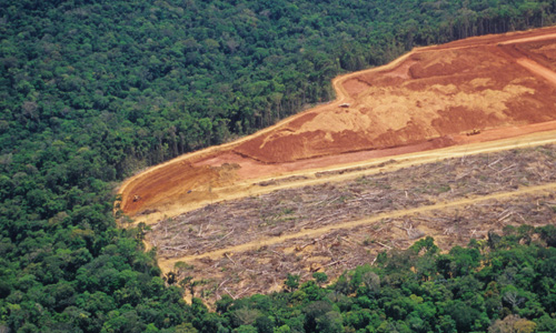 csv-19-2-9-6-monitoring-deforestation monitoring deforestation