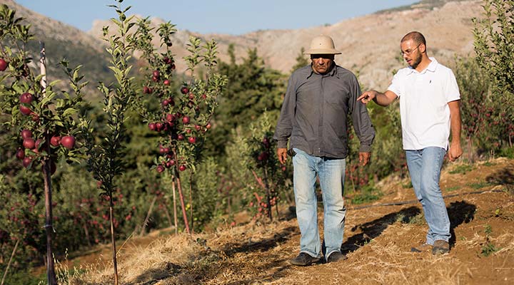 Protecting natural capital