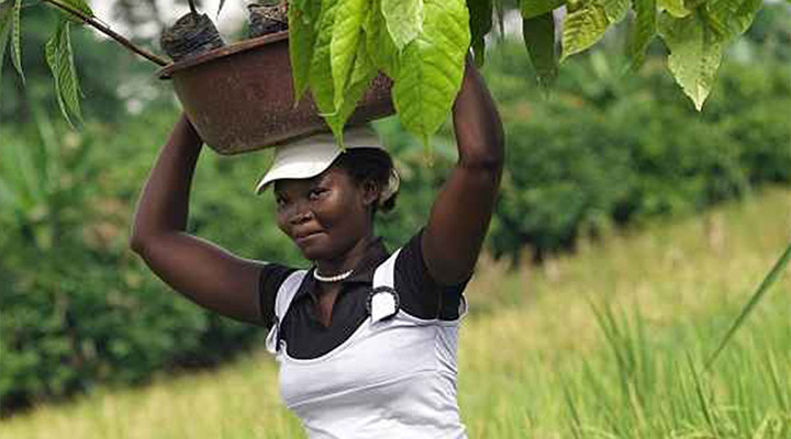 Assess and address human rights impacts