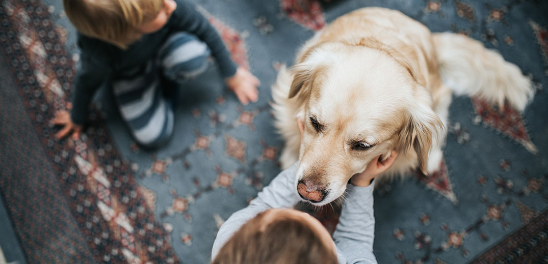 Dog with kids Dog with kids