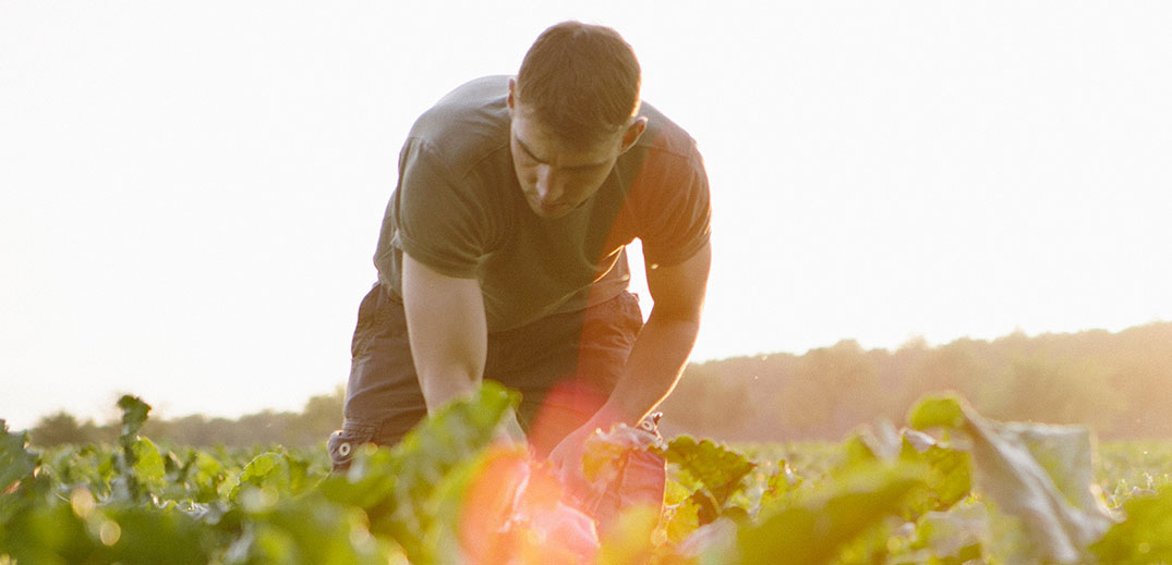 farmer
