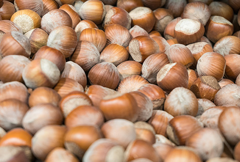 hazelnuts