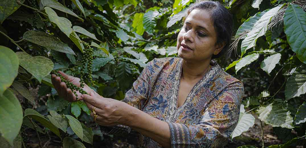 Geetha Thekkeurubil Kumaran examines her coffee cherries