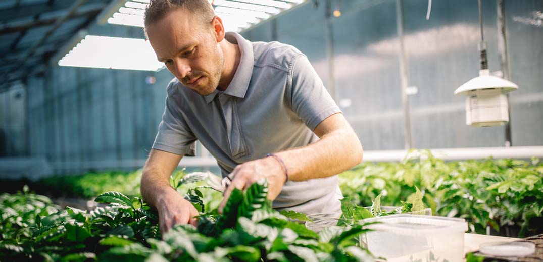 A man tending to green plants in a modern greenhouse for sustainable agriculture