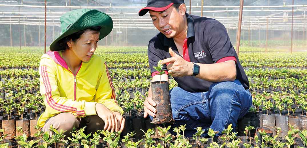 coffee farmer training