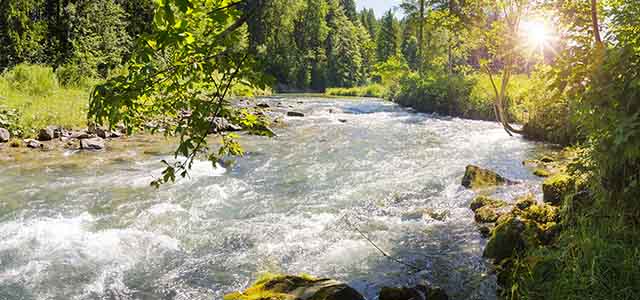 nestle-water-pledge-alert.jpg