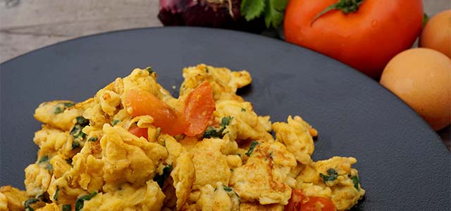 plant based egg alert