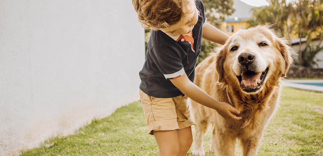 boy with dog