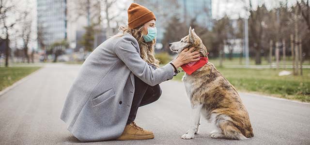 purina prize alert
