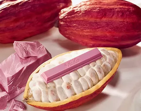 Chocolate and confectionery